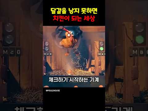 달걀을 낳지 못하면 치킨이 되는 세상