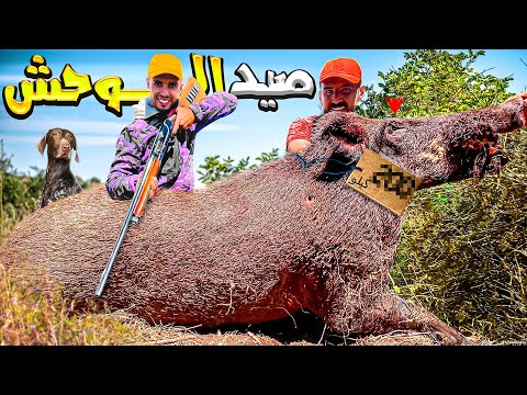 الحياة البرية:صيد أكبر خنزير🐗بري في أخطر غابة متوحشة☠️ hunting wild boar 😱
