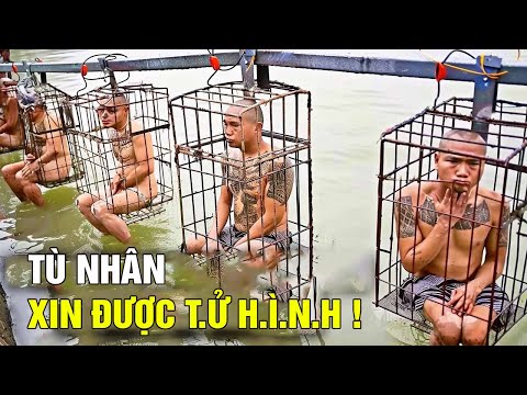 Nhà Tù An Ninh Cao Nhất Thế Giới: CECOT (Nơi giam giữ những kẻ thủ ác nhất)