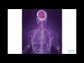 Exploring the Human Body: Systems and Senses