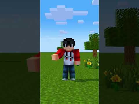 Types Of People In India PT4 ( Minecraft Animation ) #notyourtype