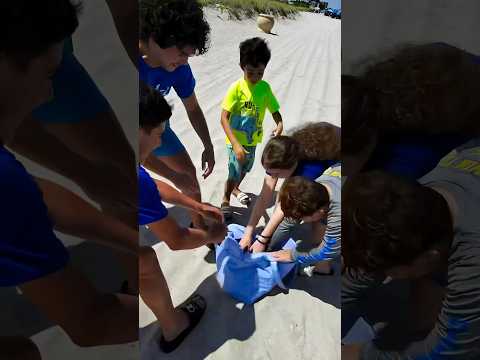 Water Balloon Fight With Strangers! pt. 1