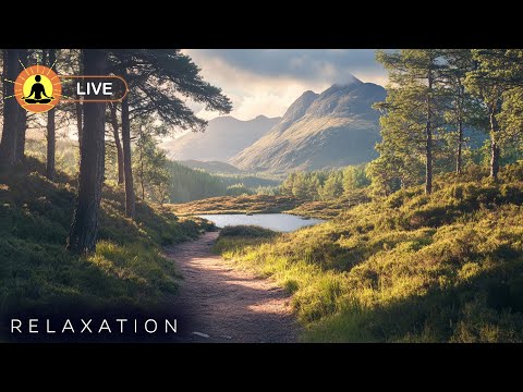 &#128308; Deep Relaxing Music for Peaceful Sleeping - Calming Sleep Tones | Healing Insomnia &amp; Restlessness