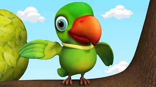 Main Tota Main Tota ||मैं तोता मैं तोता ||Baby Nursery Rhymes For Kids||hindi poem||NooNoo Kids
