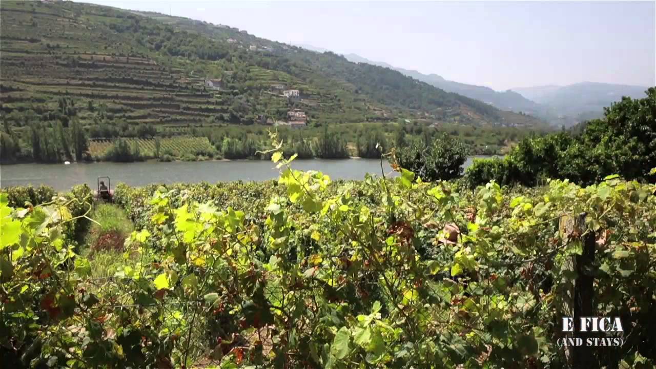 douro ultra trail