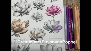 Magnolia inkleuren met Ohuhu kleurpotloden  + nieuwe download