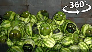 360° VR Lin Gang Melon 12