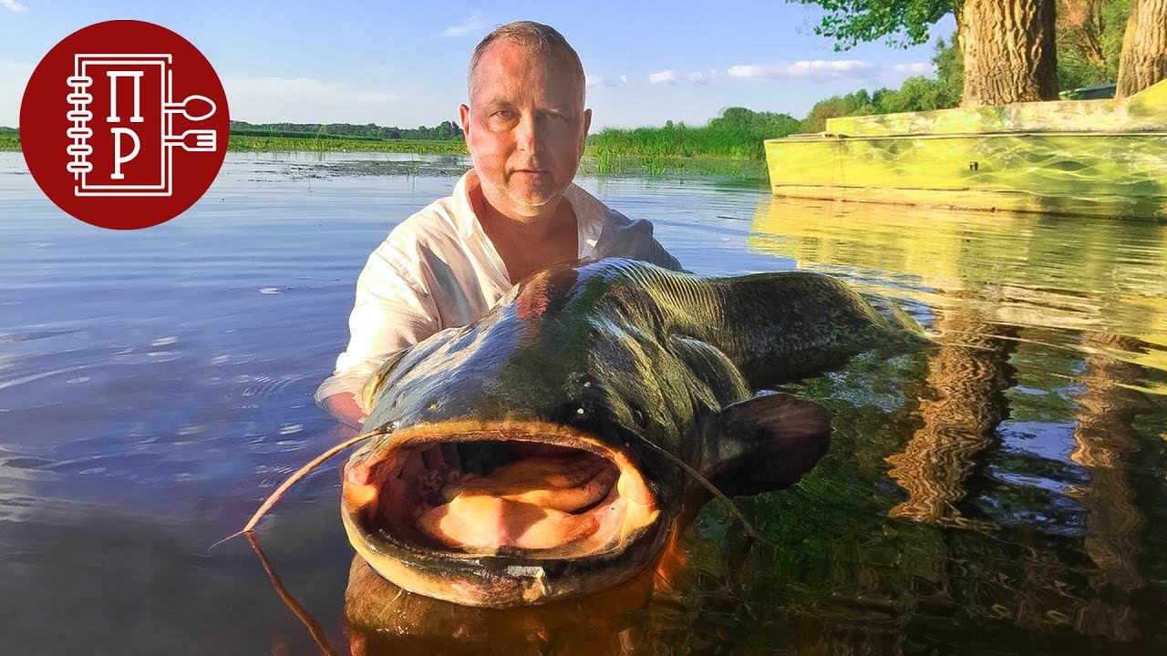 Уха на Дровах из Сома 60 кг - рецепт от Рыбака