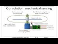 Rotor Safety Systems and Mechanisms