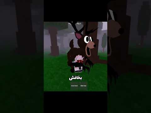 ✨انتظرني ايها الصغروم✨