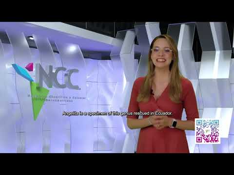 Noticiero Científico Cultural Iberoamericano - NCC 750