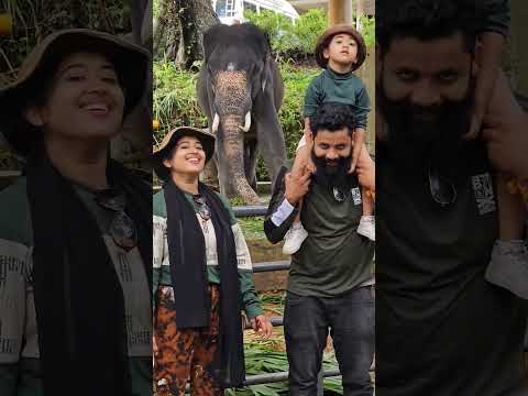 ആന ചില്ലറക്കാരൻ അല്ല ഗയ്സ് ? periya dancer??❤️ #Shanu #malootty #Mubi #shorts #elephant