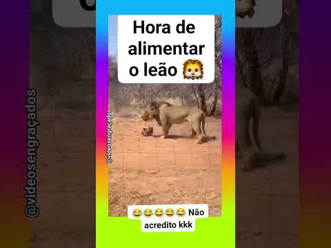Ele resmungando 🤣🤣 #memes #comediamemes #memecomedia #humor