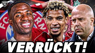 VINI-ÜBERRASCHUNG bei BAYERN! SLOT ZERSTÖRT EKITIKÉ! | KickNews