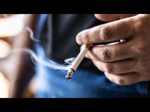 ‘Dumb way of doing things’: New licensing policy for tobacco trade analysed