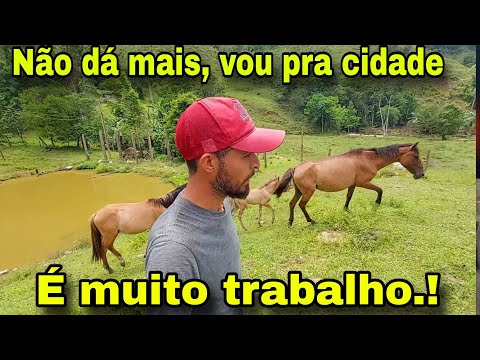 PRONTO.!  DEIXEI TUDO OS ANIMAIS O SÍTIO E VOU PRA CIDADE.! 😒