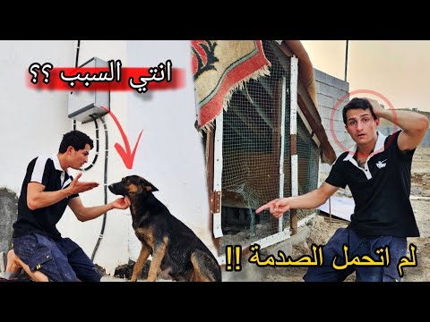  لم اتحمل الصدمة !! لوسي تقوم بفعل عجيب تجعلني أفقد صوابي 😣🔥