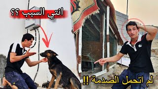  لم اتحمل الصدمة !! لوسي تقوم بفعل عجيب تجعلني أفقد صوابي 😣🔥