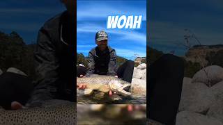 Summer Sight Fishing Adventure