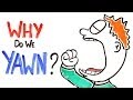 Contagious Yawning and Its Effects