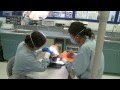 Dental Careers Program Overview