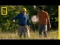 Tracking Monarch Butterflies Experiment