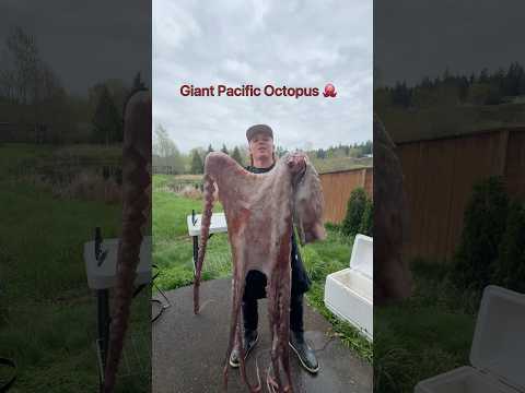 Cooking a Giant Pacific Octopus