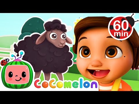 Nina finds the Baa Baa Black Sheep | with Nina and JJ | Cocomelon Nursery Rhymes for Kids