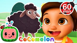Nina finds the Baa Baa Black Sheep | with Nina and JJ | Cocomelon Nursery Rhymes for Kids