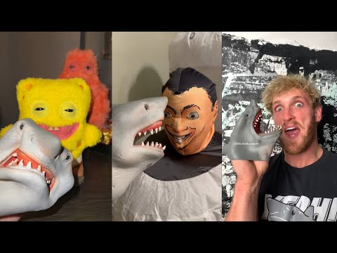 Try Not To Laugh Watching Funniest Shark Puppet Shorts Compilation by Vine Zone✔