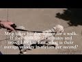 Exploring Velocity and Speed: Key Concepts and Differences