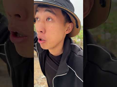 kind puppy #trending #viralvideo #dog #shortsvideo #cartoon #spiderman