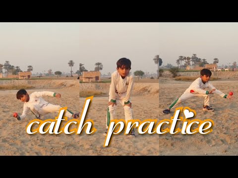 top 10 catches in cricket history || Good Catch Practice | Day4 Hard Work Beat Talent Little Kids