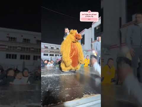 هو اي اللي عملوا الولد ده😂🤣♥️ #rap #music #اكسبلور #explore #funny #باندا #gorilla