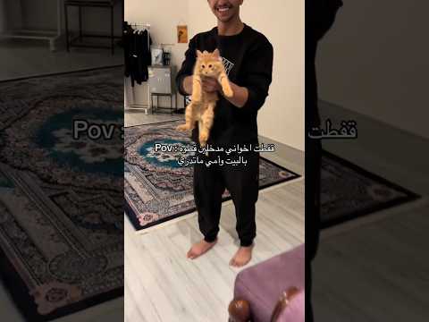 قفطت اخواني مدخلين قطع البيت #فضلا_لايك_و_إشتراك