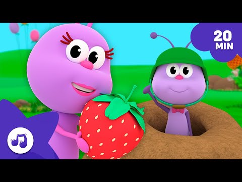 Bichinhos Gosta de Comer! 😋 Hora da Comida | MIX 🌈 Canções Infantil | Bichikids em Português