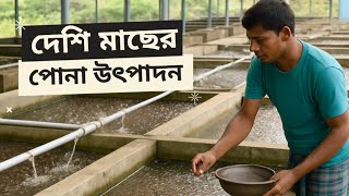 হালদা নদীর কাতলা সহ সকল পোনা পাবেন এখানে। #কাতল