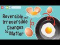 Irreversible and Reversible Changes in Matter