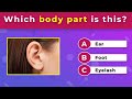 Test Your Knowledge of Body Parts in English