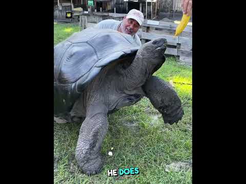 Prank With Fish, Catching!