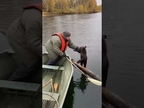 Держись малыш сейчас помогу