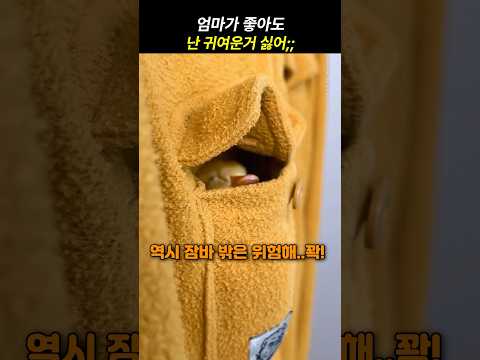 난 귀여운거 싫어;;