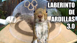 Laberinto para Ardillas 3.0  - Los Juegos Ardillalímpicos