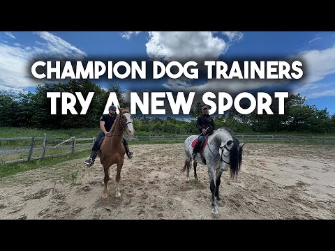 Dog Trainers try riding horses..$H!T SHOW 😂