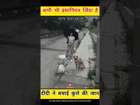दीदी ने बचाई कुत्ते की जान💖 #humanity #shorts