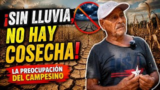 Campesino Preocupado Por La Falta De Lluvias En El Salvador 