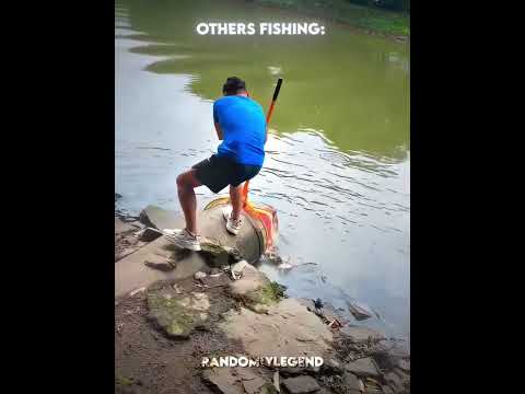 Others fishing vs this guy