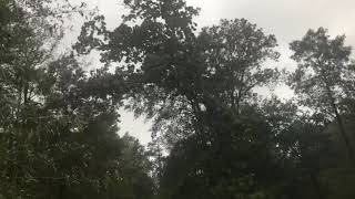 Major Hurricane Ida Impacts Washington Parish