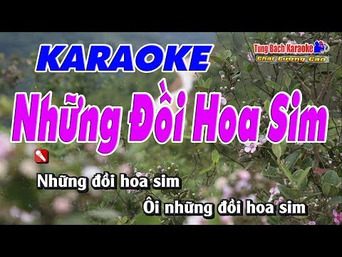 Những Đồi Hoa Sim – Karaoke Nhạc Sống Tùng Bách