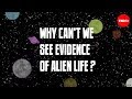 Exploring the Fermi Paradox and the Search for Extraterrestrial Life